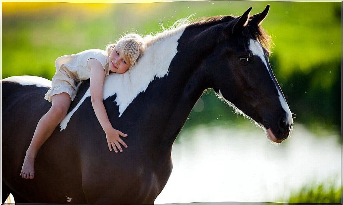 Girl hugging horse