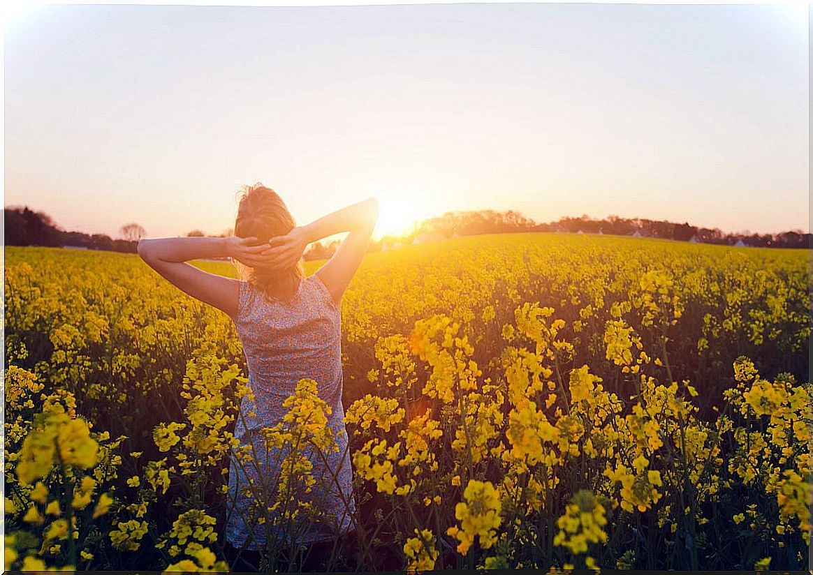 Woman in the field with yellow flowers thinking about the strengths of highly sensitive people