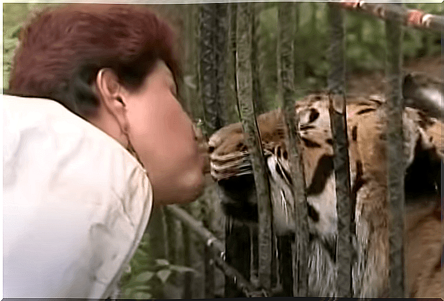 Ana Julia Torres kissing a tiger