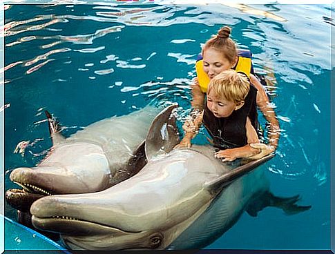 Child doing dolphin therapy