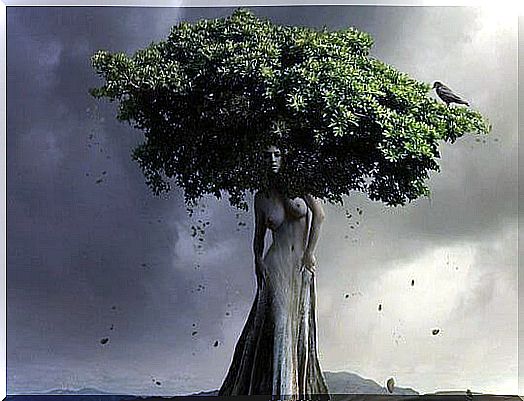 tree in the shape of a woman