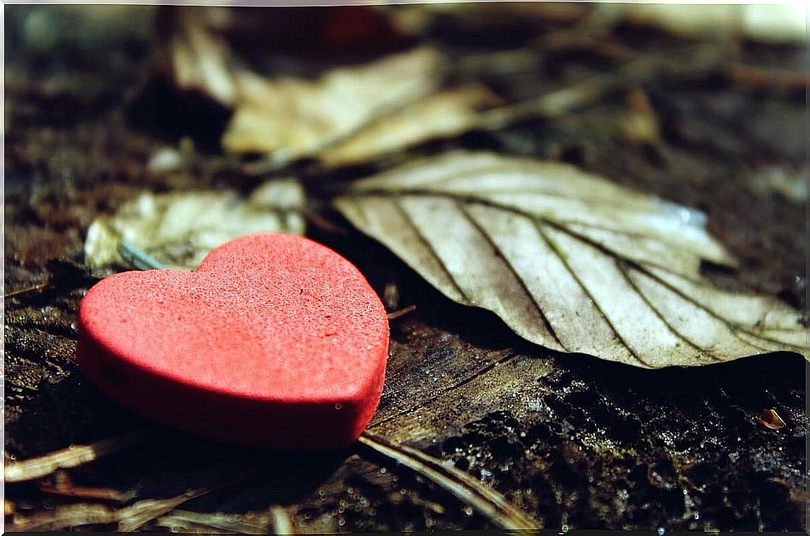 Heart with leaf symbolizing how life changes after the death of a child