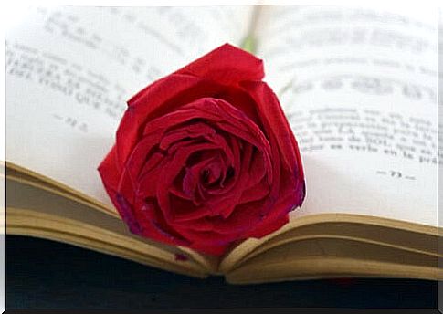 Rose on a book