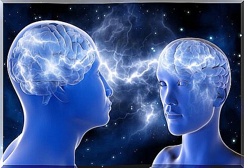 Meet mirror neurons