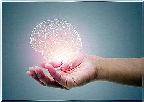 The brain's ability to keep learning