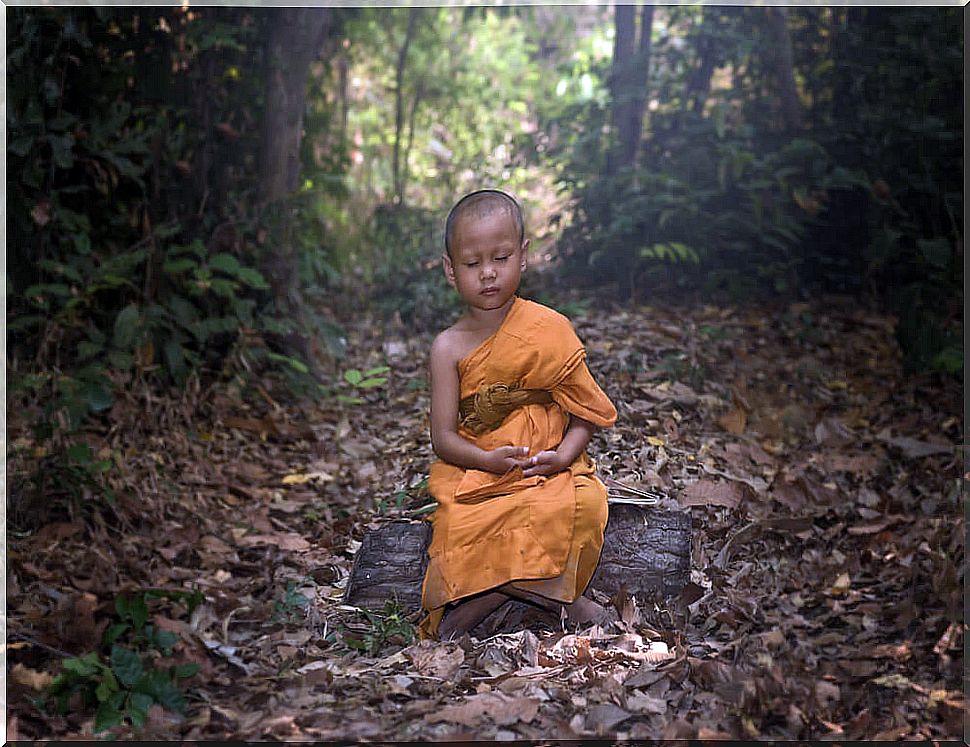 The monk and the chocolate ice cream, a Buddhist tale about the ego